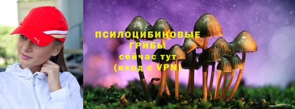 стаф Ельня