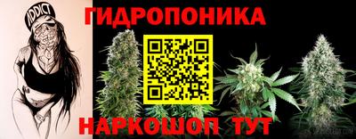 дурь Жуковский