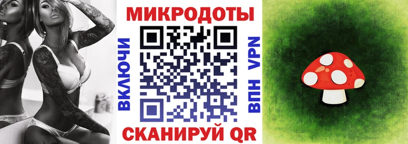 Псилоцибиновые грибы мицелий  Кудрово 