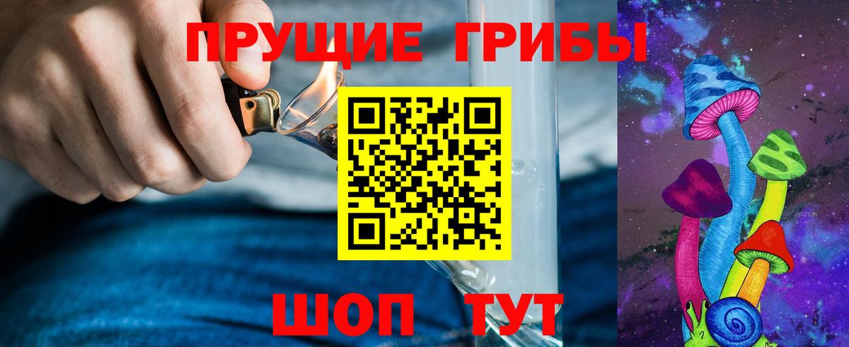 Псилоцибиновые грибы мицелий Кудрово